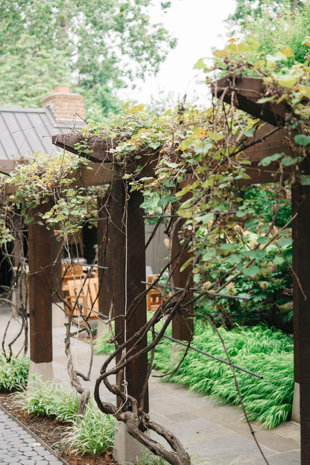 The pergola walkway with the long table underneath